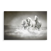 Schilderij - Wilde paarden in zwart-wit, 4 maten, premium print