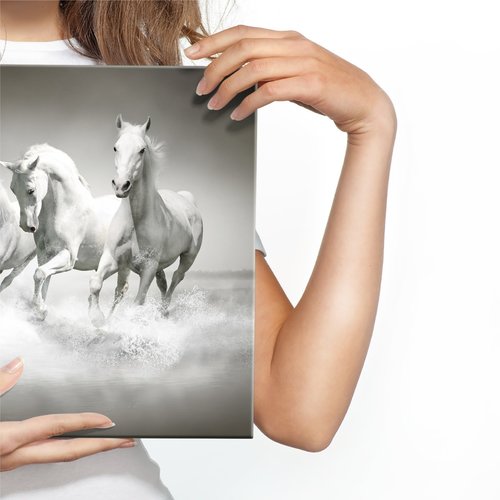 Schilderij - Wilde paarden in zwart-wit, 4 maten, premium print