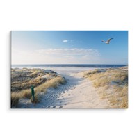 Schilderij - Pad naar Noordzee, multi-gekleurd,4 maten, premium print