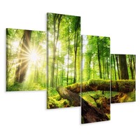 Schilderij - Zonnestralen in het bos, 4 luik, premium print, wanddecoratie