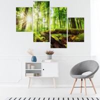 Schilderij - Zonnestralen in het bos, 4 luik, premium print, wanddecoratie