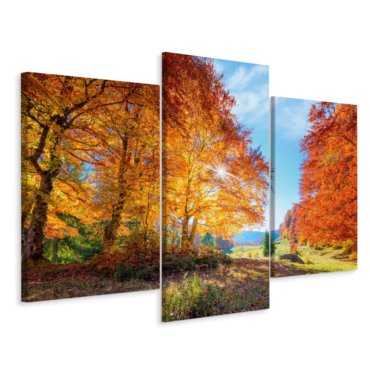 Schilderij - Kleurrijke herfstbomen, 3 luik, premium print afbeelding