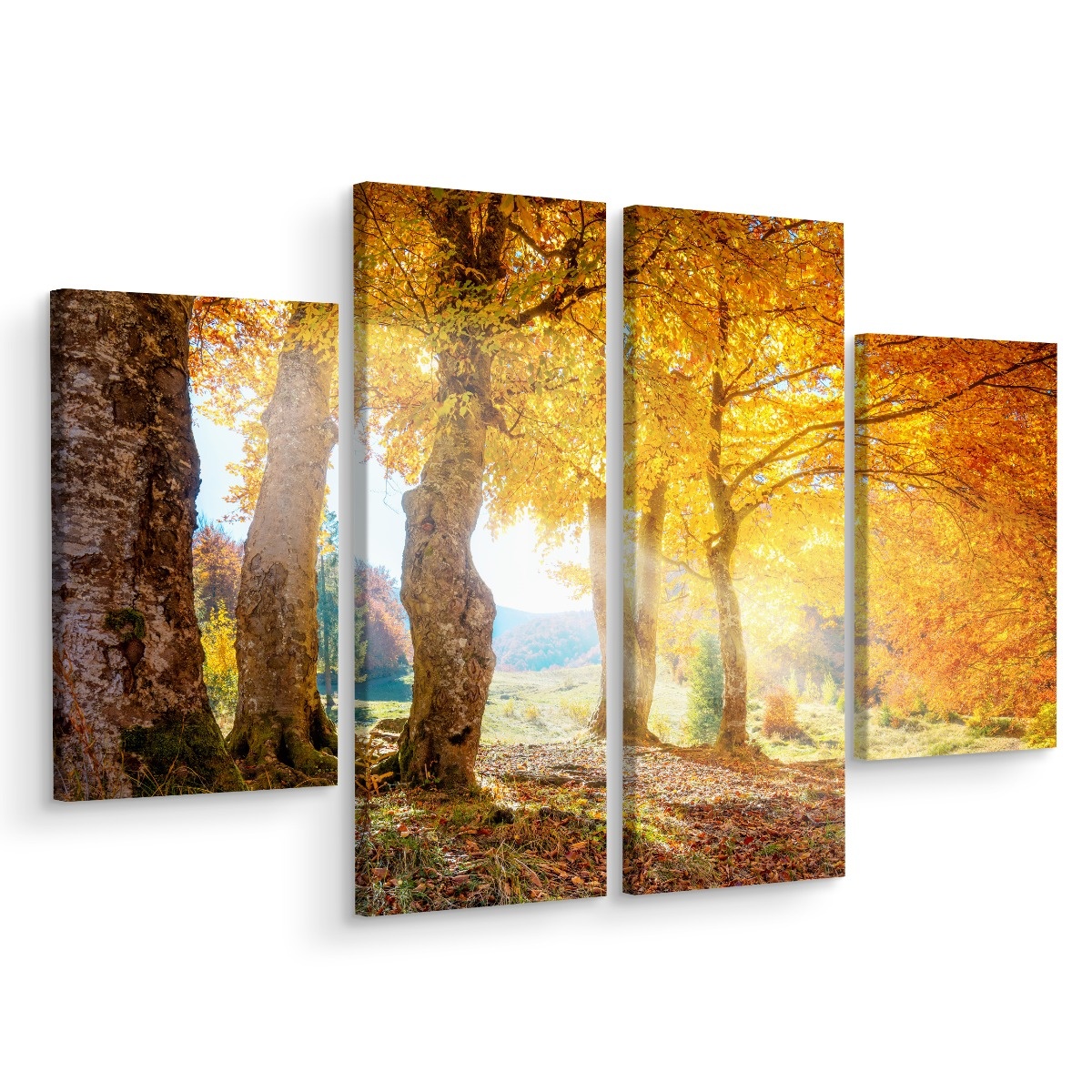 Schilderij - Zonnig herfst bos, print op canvas, 4 luik, premium print afbeelding