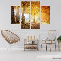 Schilderij - Zonnig herfst bos, print op canvas, 4 luik, premium print