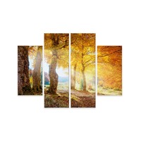 Schilderij - Zonnig herfst bos, print op canvas, 4 luik, premium print