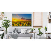 Schilderij - Zonnebloemen veld bij zonsondergang, multi-gekleurd, 4 maten, premium print