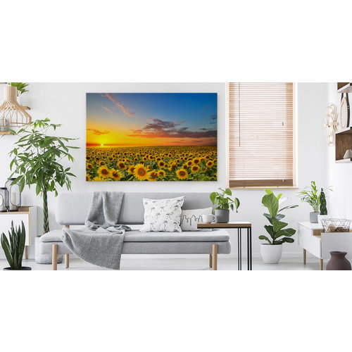 Schilderij - Zonnebloemen veld bij zonsondergang, multi-gekleurd, 4 maten, premium print