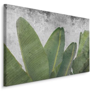 Schilderij - Tropische bladeren op betonnen achtergrond, groen/grijs, 4 maten, premium print