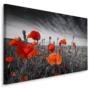 Schilderij - Rode Klaprozen, zwart-wit/rood, 4 maten, premium print