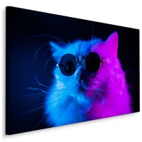 Schilderij - Cool Cat, paars/blauw, 4 maten, premium print