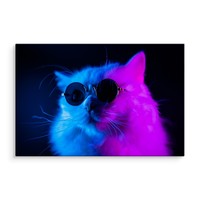 Schilderij - Cool Cat, paars/blauw, 4 maten, premium print