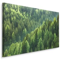 Schilderij - Groen bos, 4 maten, wanddecoratie