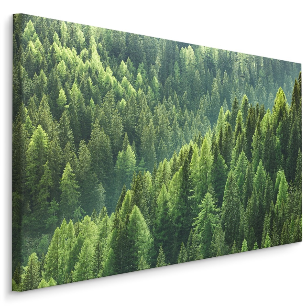 Schilderij - Groen bos, 4 maten, wanddecoratie afbeelding