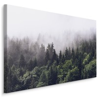 Schilderij - Mistig in de bergen, groen/grijs, 4 maten, premium print