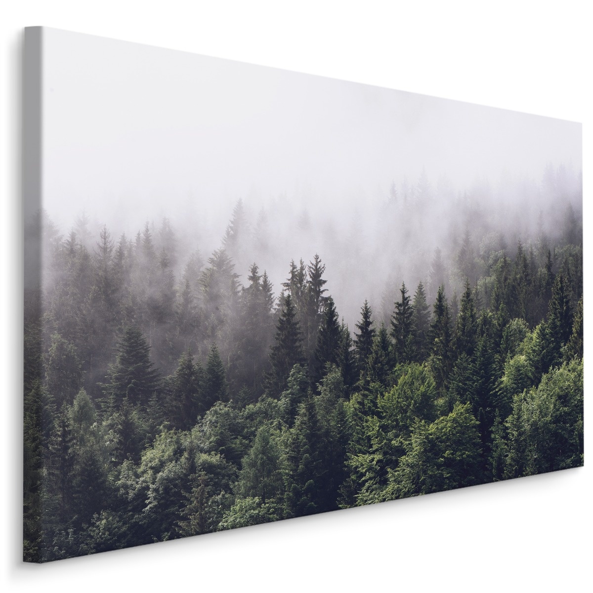Schilderij - Mistig in de bergen, groen/grijs, 4 maten, premium print afbeelding