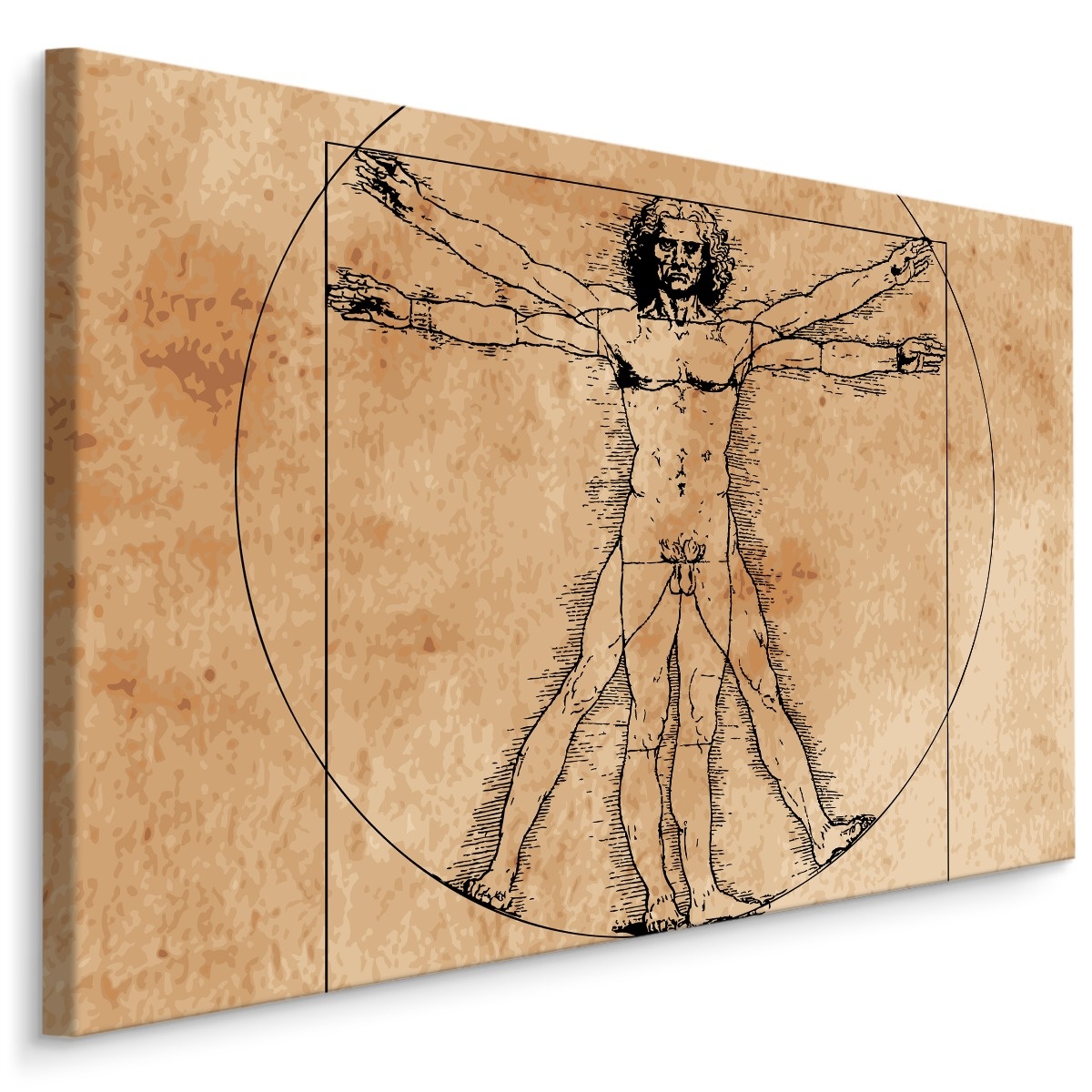 Schilderij - Vitruviusman, Leonardo da Vinci (print op canvas), beige, 4 maten, wanddecoratie afbeelding