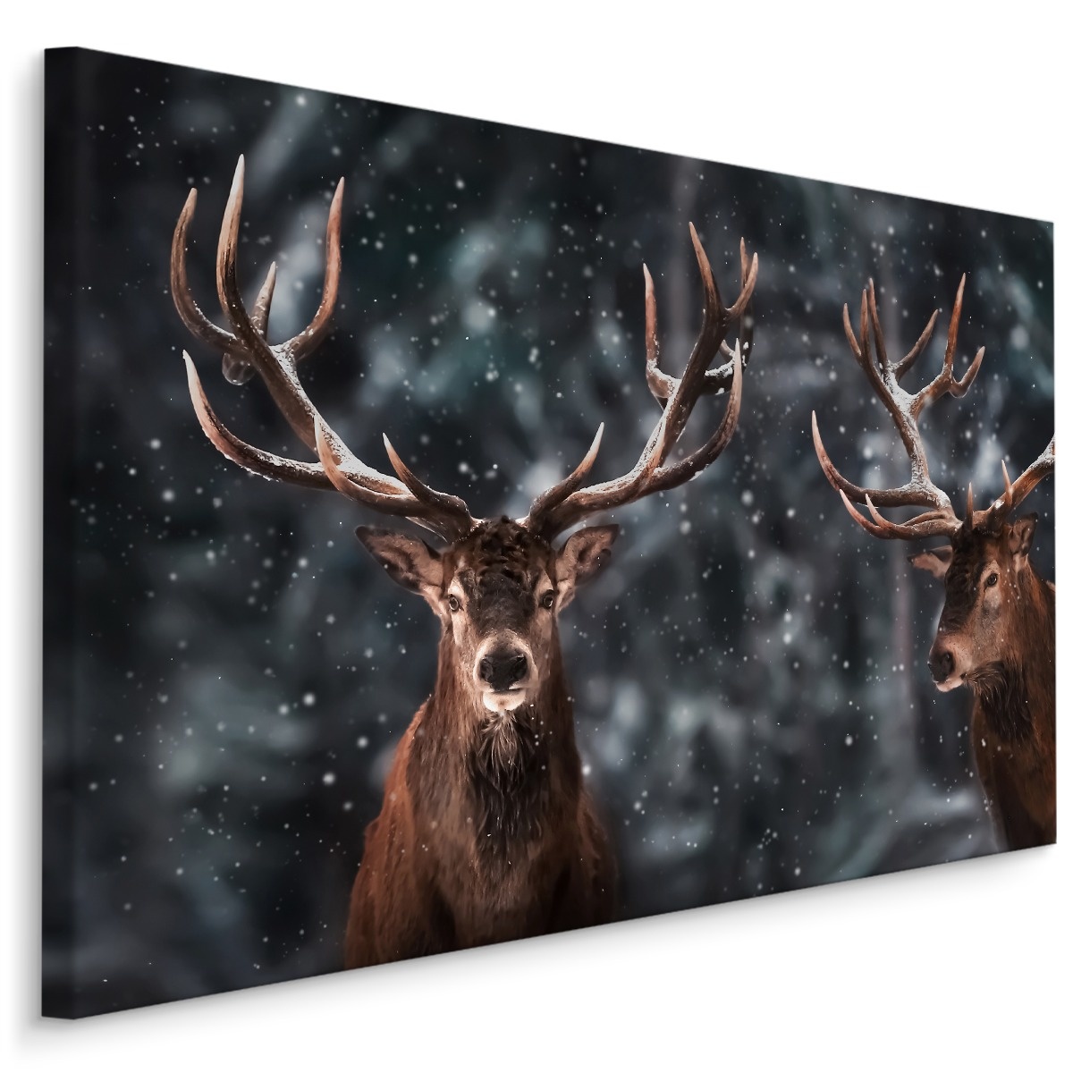 Schilderij - 2 herten in de sneeuw, 4 maten, bruin/grijs, premium print afbeelding