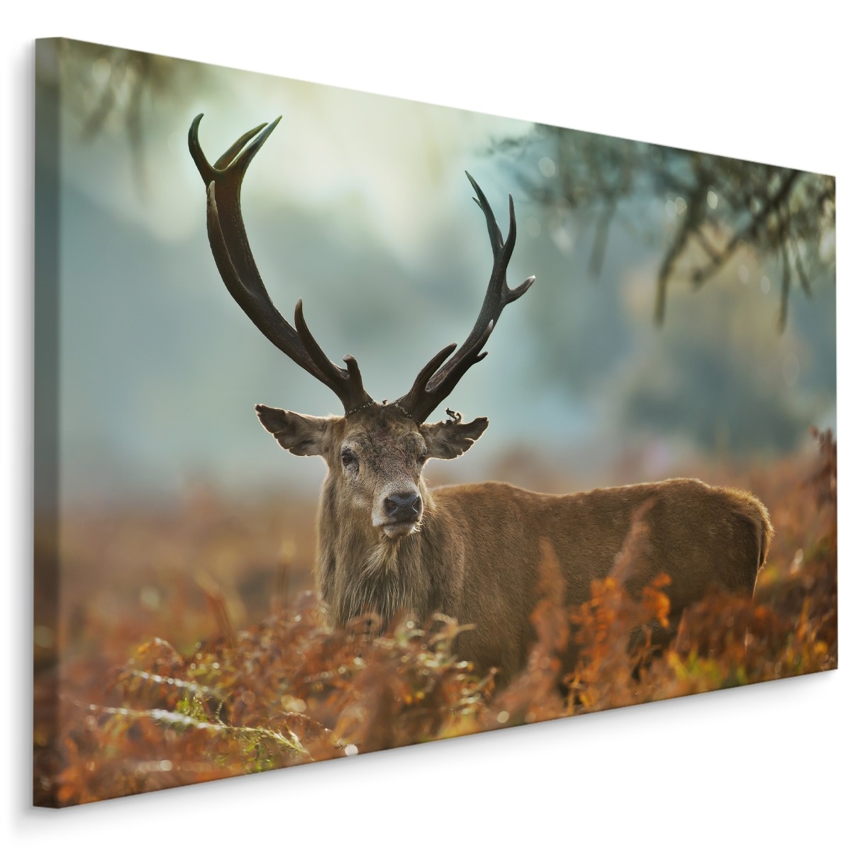 Schilderij - Wonderbaarlijk hert, 4 maten, multi-gekleurd, wanddecoratie afbeelding