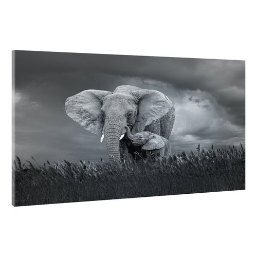 Karo-art Schilderij - Moeder en baby olifant, Zwart-Wit,  2 maten, Premium print