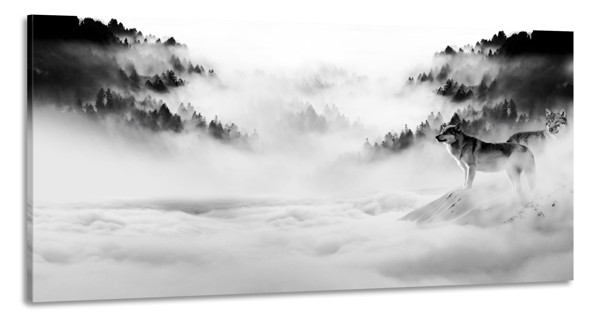 Schilderij -Wolven in de mist, zwart/wit, 120x60cm. premium print afbeelding