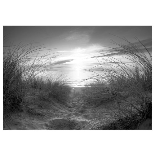 Zelfklevend fotobehang - Strand in zwart-wit, 8 maten, premium print
