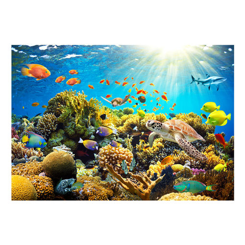 Zelfklevend fotobehang - Onderwater wereld , Premium Print