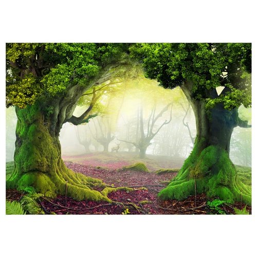 Zelfklevend fotobehang - Betoverd bos , Premium Print