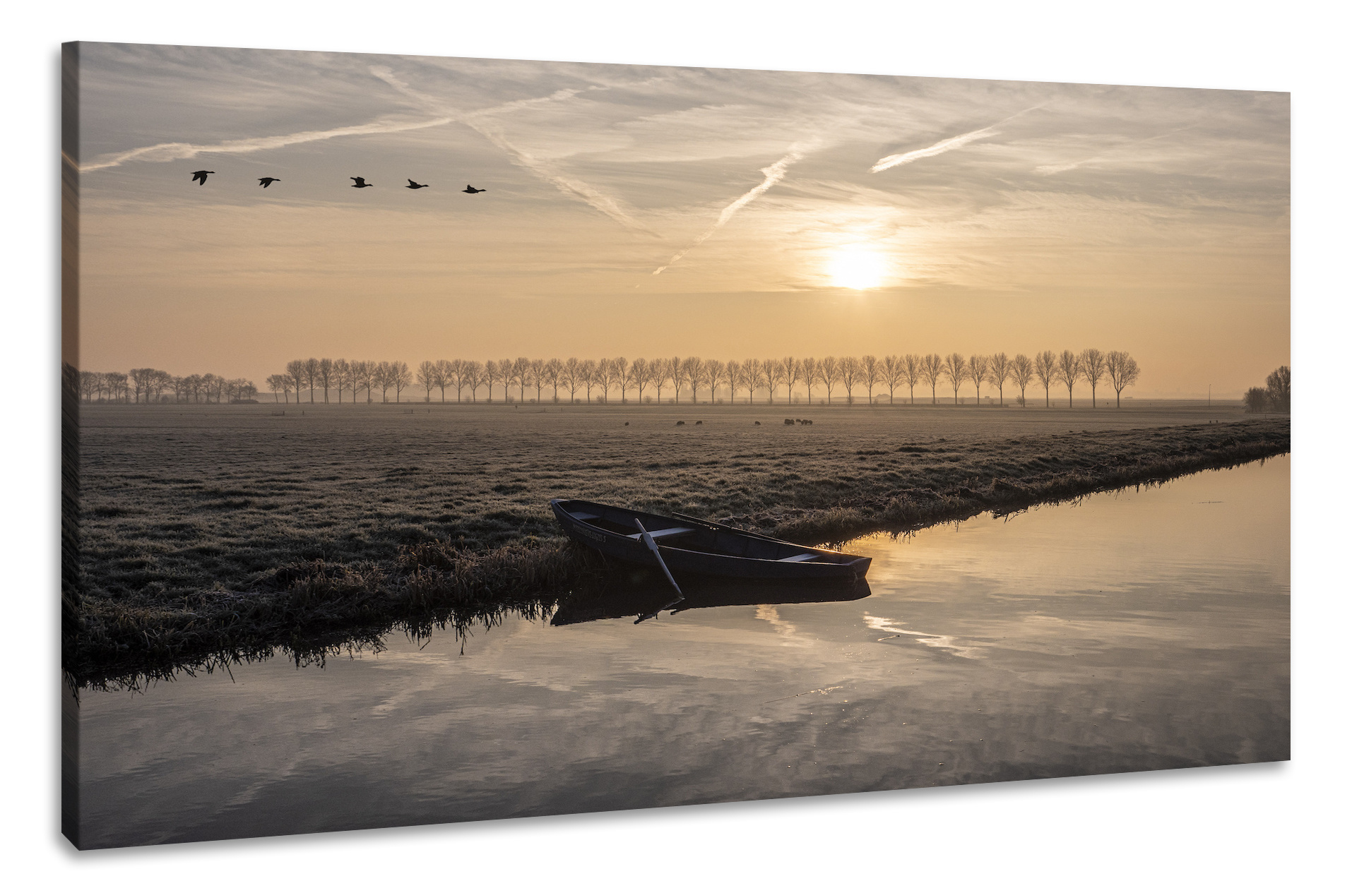 Schilderij -Ochtend in de Polder, 100x70cm, premium print, wanddecoratie afbeelding