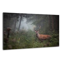 Karo-art Schilderij -Hert in bos, 2 maten, premium print, wanddecoratie