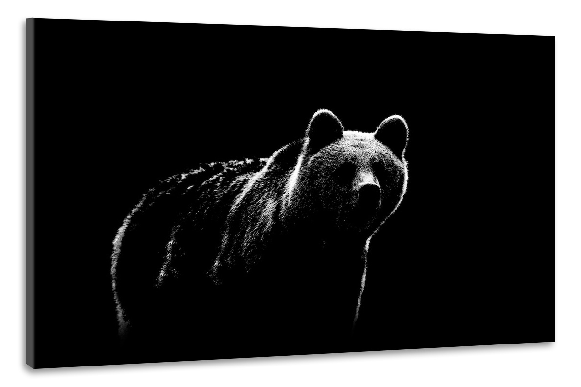 Schilderij -Beer in de schaduw, 100x70cm , wanddecoratie , premium print afbeelding