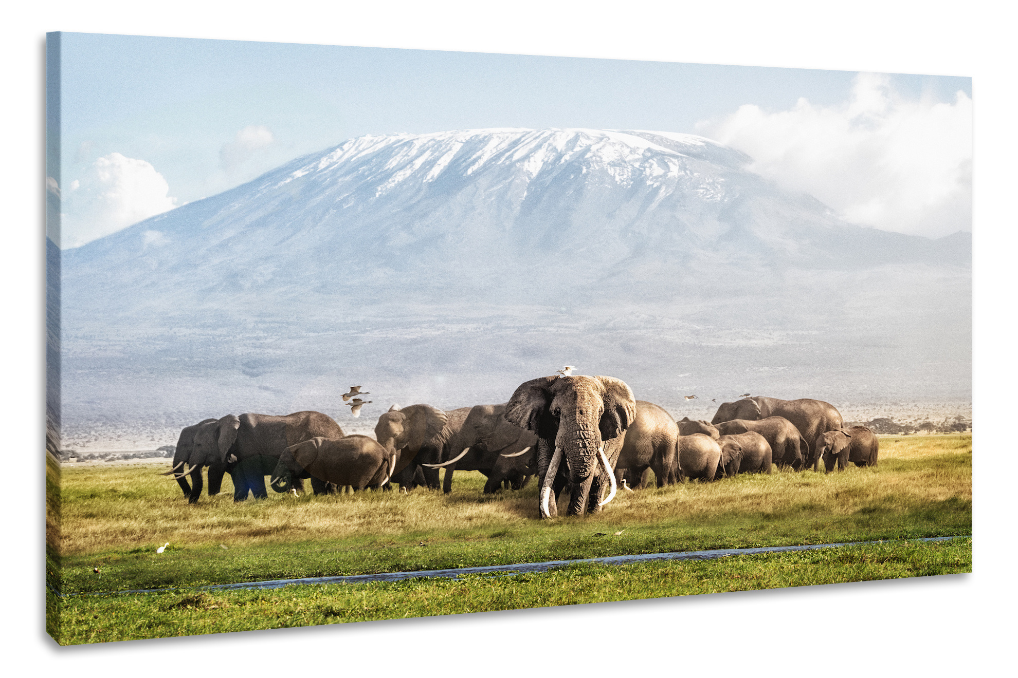 Schilderij -Kudde Olifanten bij de Kilimanjaro 100x70cm, wanddecoratie