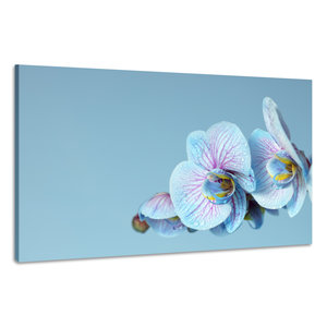 Karo-art Schilderij -Blauwe Orchidee, 100x70cm, wanddecoratie