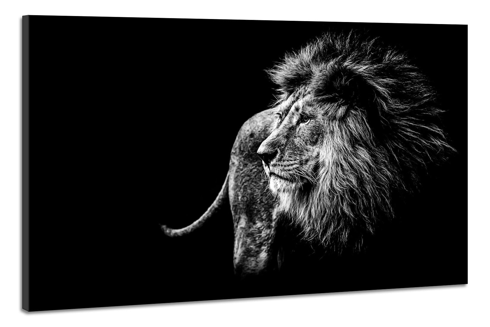 Schilderij -Leeuw in zwart/wit, magisch, 2 maten, wanddecoratie afbeelding