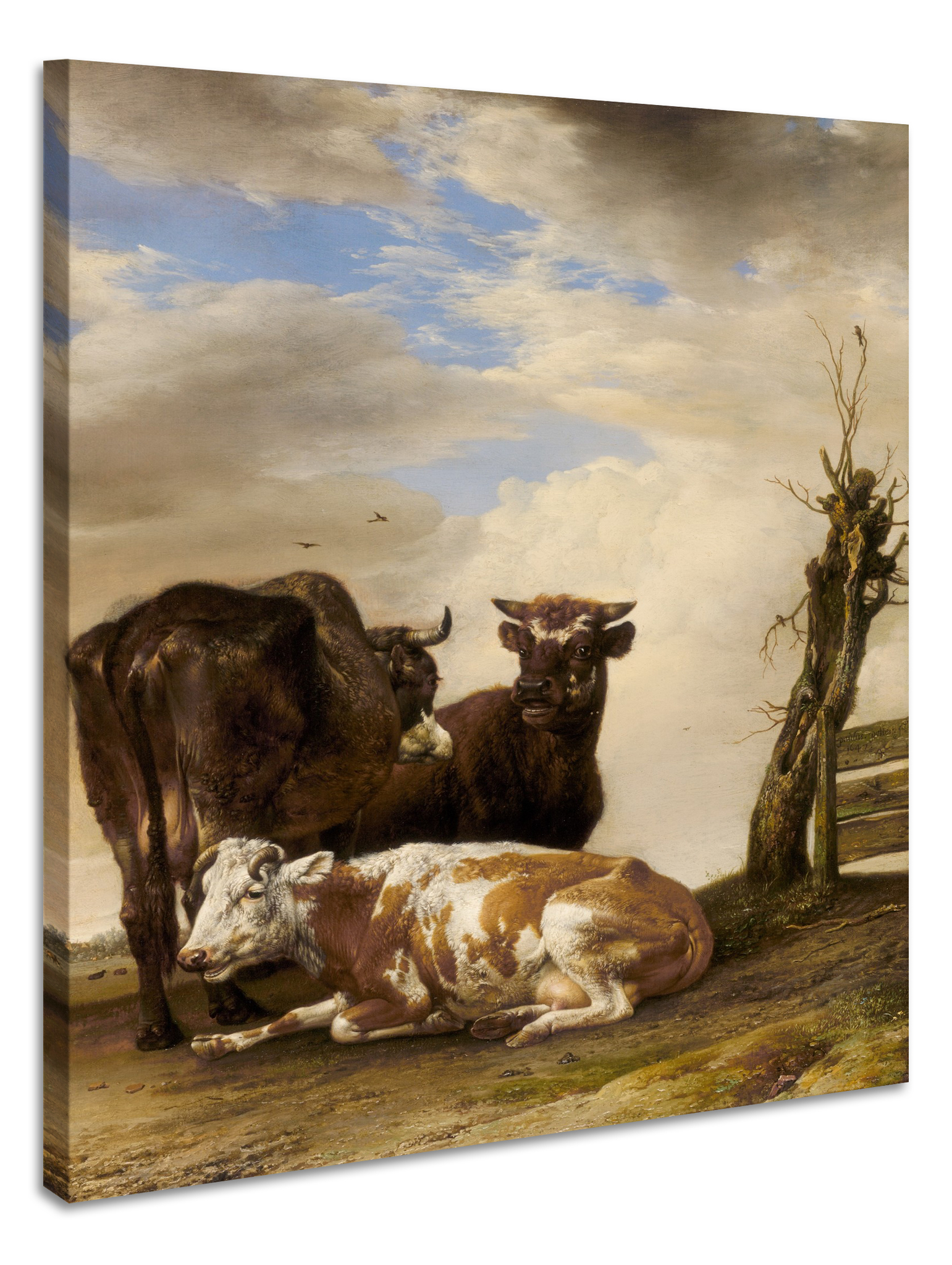Schilderij - Paulus Potter, , Twee koeien en een jonge stier naast een hek in een weiland, 1647, 60x90cm afbeelding