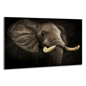 Karo-art Schilderij -Imposante Olifant, dieren,  100x70cm, Premium print