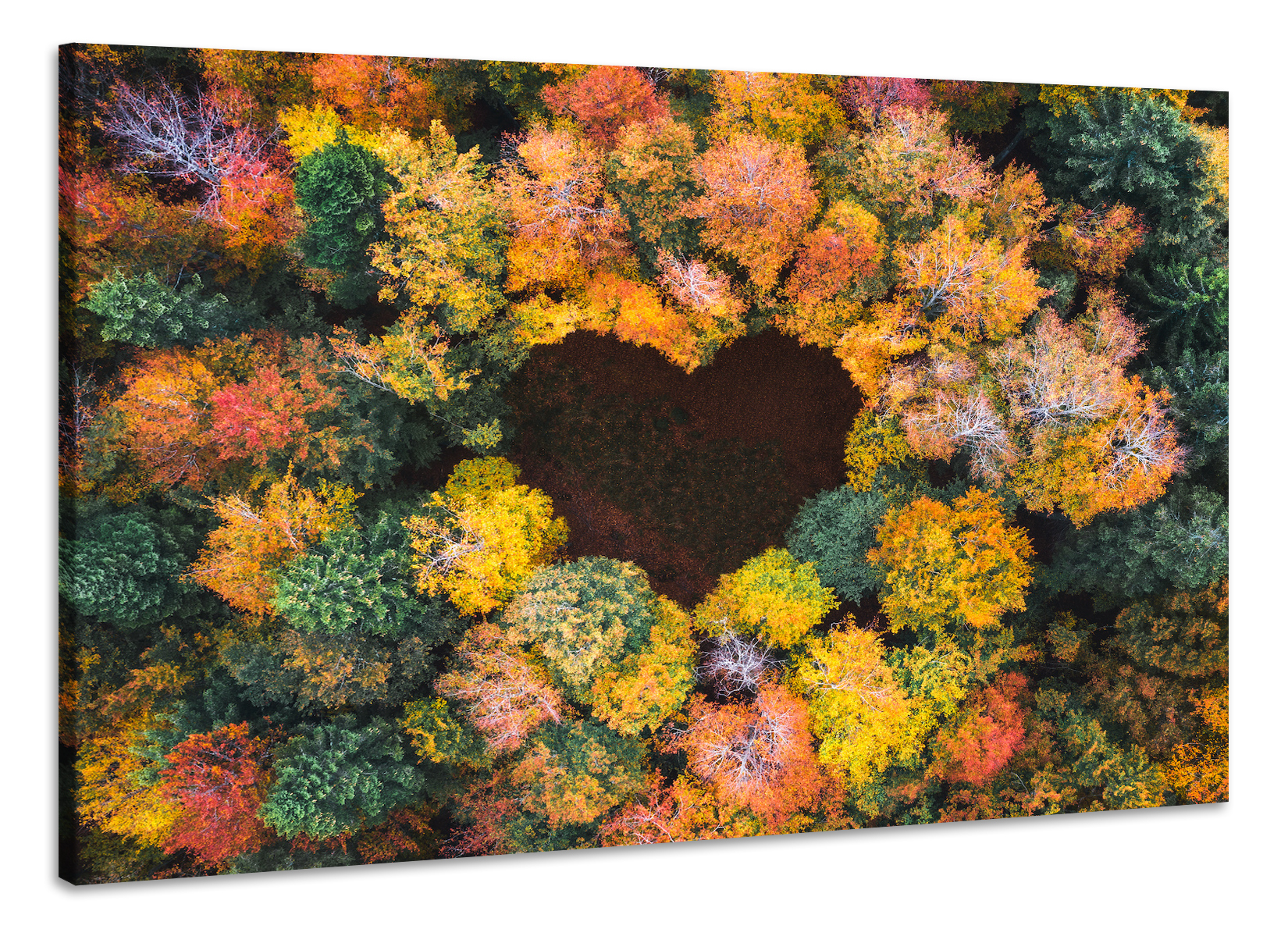 Schilderij -Hart in het Bos, Liefde, 100x70cm, Premium print afbeelding