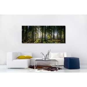 Panorama Bos (op bestelling) 150x60cm