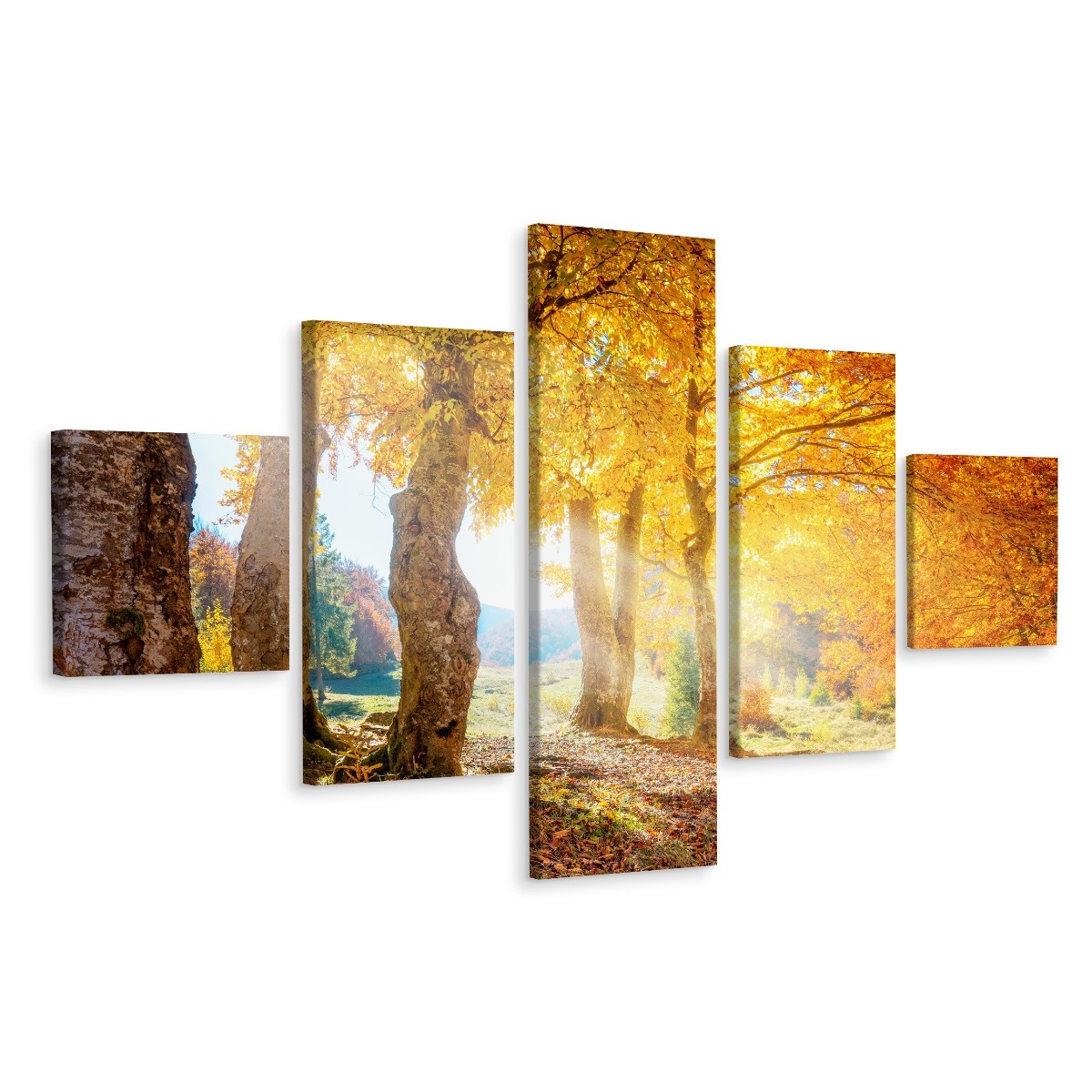Schilderij - Herfst in het bos, 5luik, premium print afbeelding