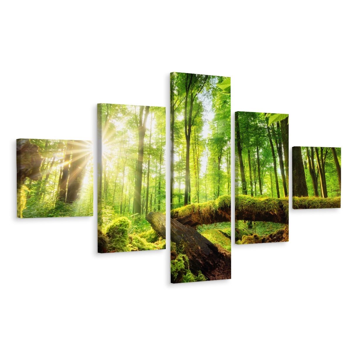 Schilderij - Zon door de bomen, 5luik, premium print