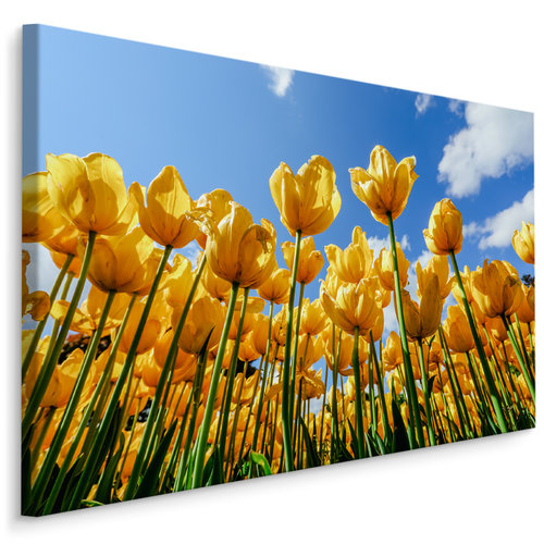 Schilderij - Gele tulpen, premium print