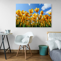 Schilderij - Gele tulpen, premium print