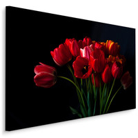 Schilderij - Rode tulpen zwarte achtergrond, premium print