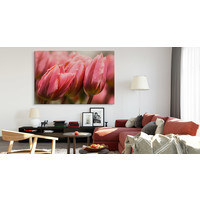 Schilderij - Roze tulpen, premium print