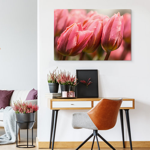 Schilderij - Roze tulpen, premium print