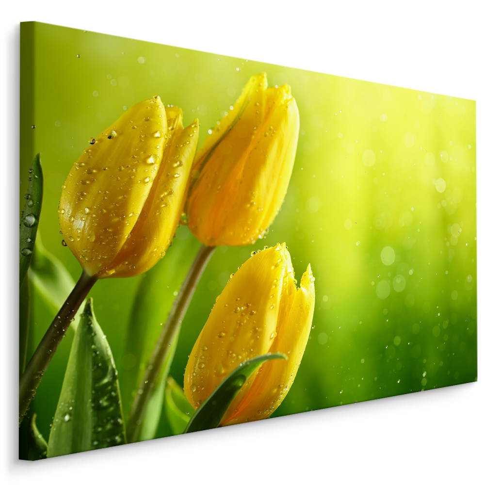 Schilderij - Gele tulpen groene achtergrond, premium print afbeelding