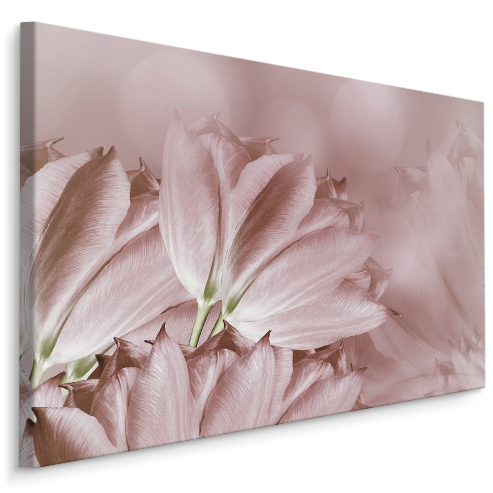 Schilderij - Pastel roze tulpen, premium print