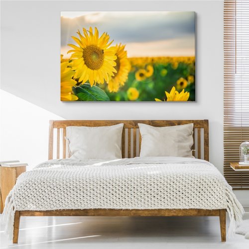 Schilderij - Prachtige zonnebloemen veld, premium print