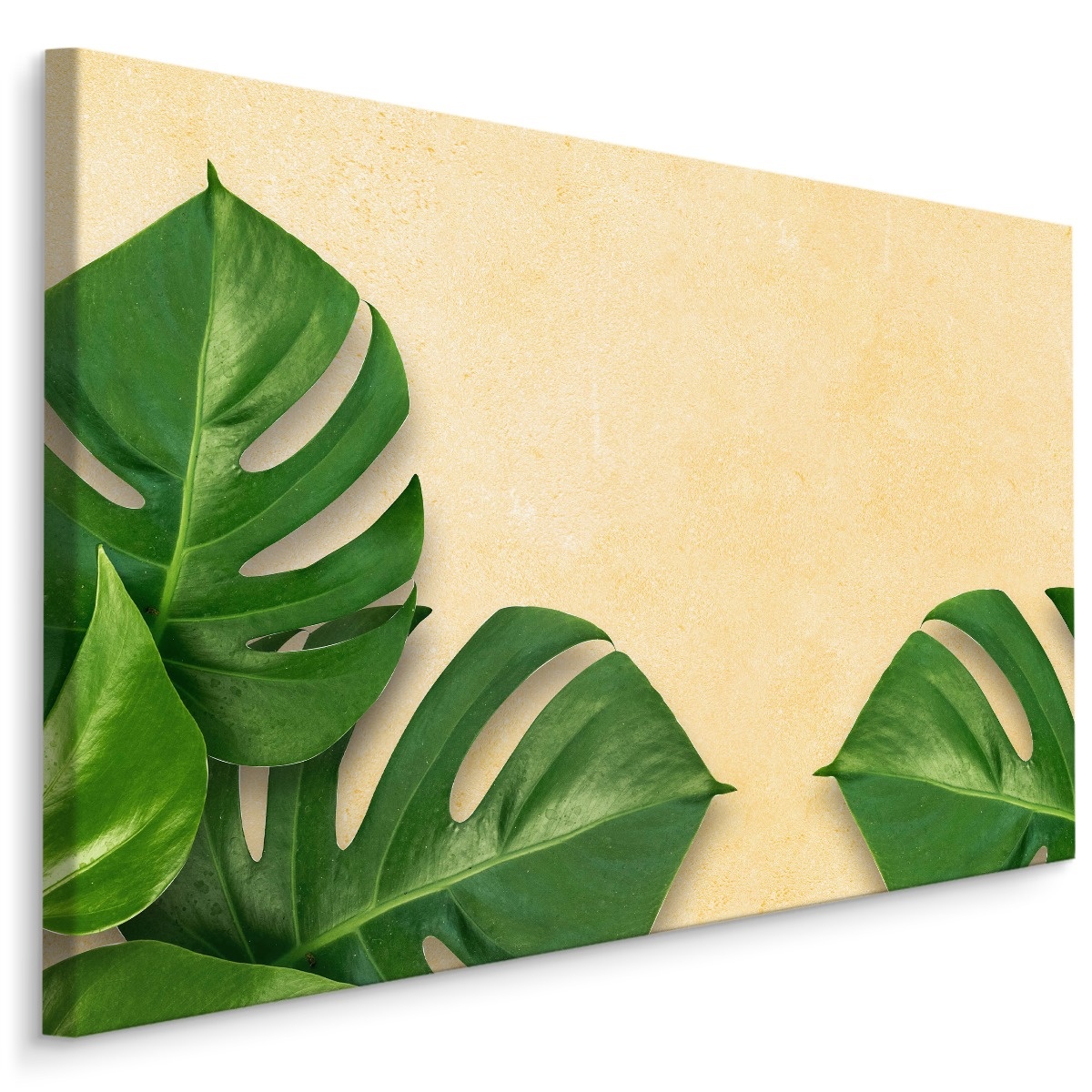 Schilderij - Monstera Bladeren, Groen, op een beige achtergrond, 5 maten afbeelding