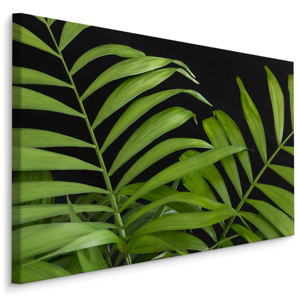 Schilderij - Tropische Bladeren, Groen, Premium Print afbeelding