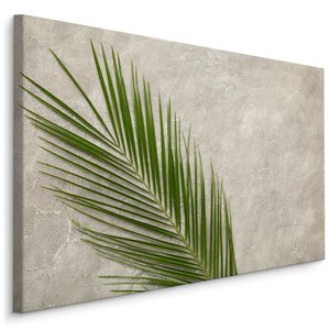 Schilderij - Palm Blad op een betonnen achtergrond, 5 maten Schilderij - Palm Blad op een betonnen achtergrond, 5 maten